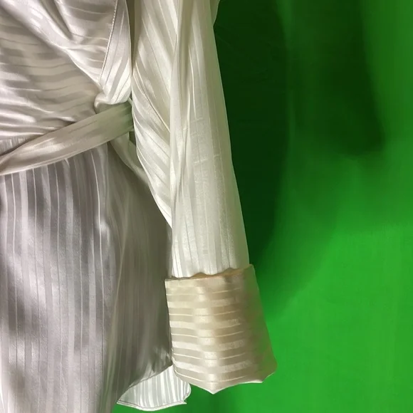 Aritzia, Zelle shirt, belted , Blouse Silk - Picture 8 of 11